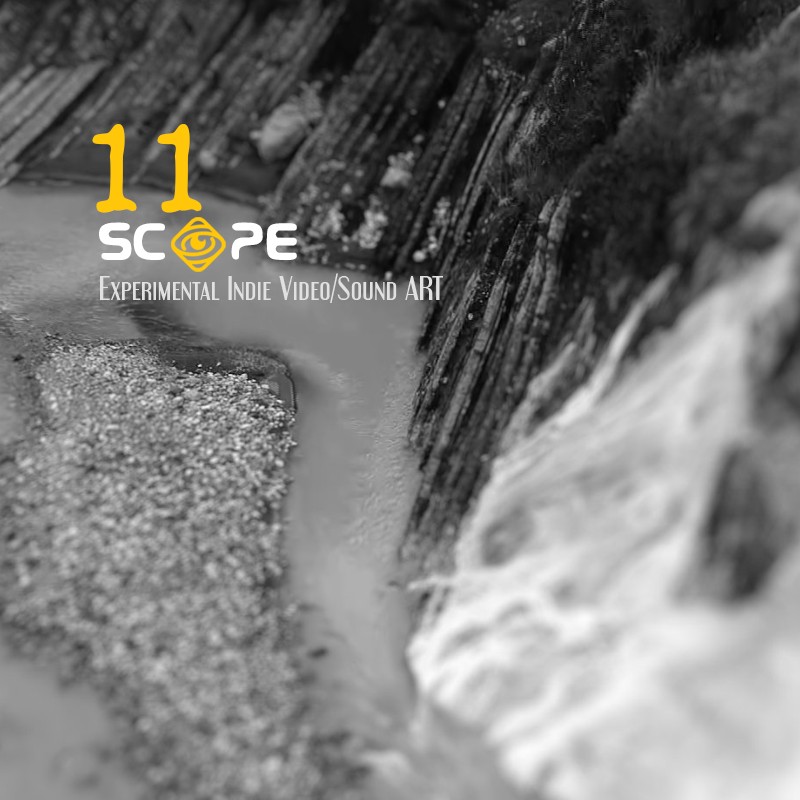 SCOPE 11