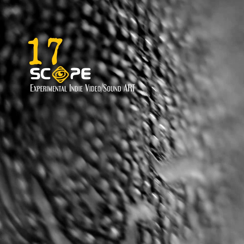 SCOPE 17